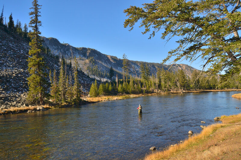 Fly Fishing in the Yellowstone River