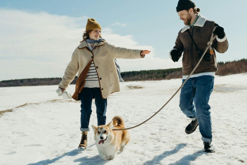 A couple walking their corgi in the snow on a blue-bird day.