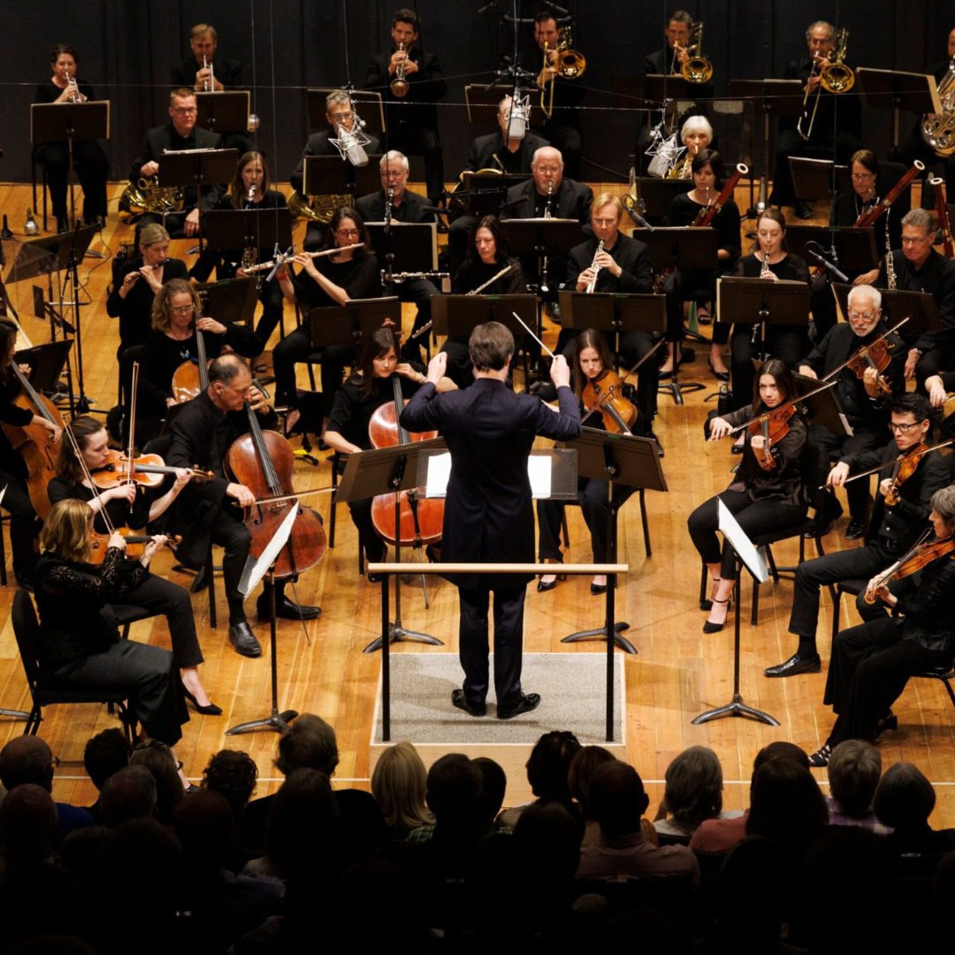 A conductor and an orchestra.