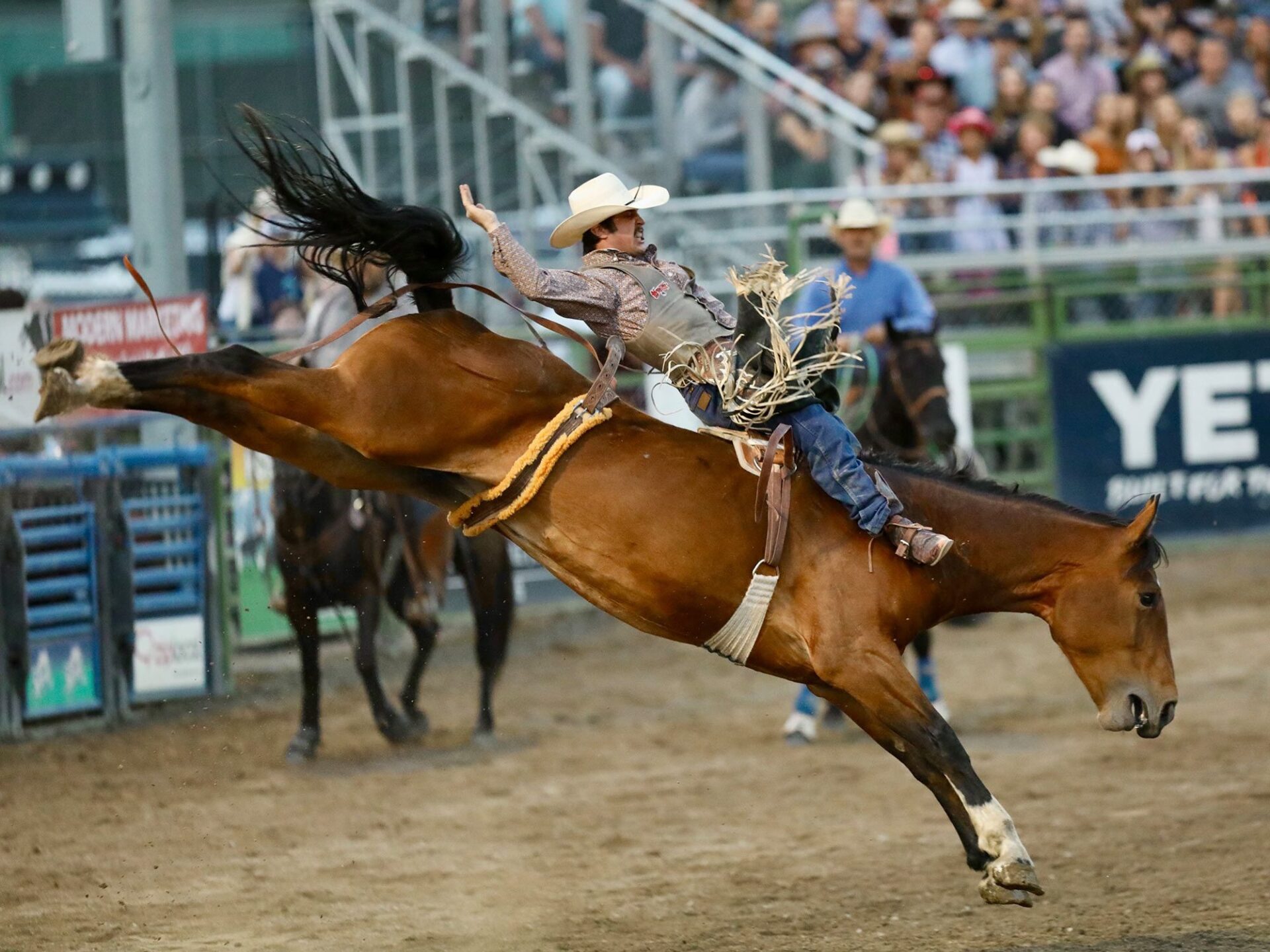 A cowboy riding a horse in an arena at the Jackson Hole Rodeo in Wyoming.