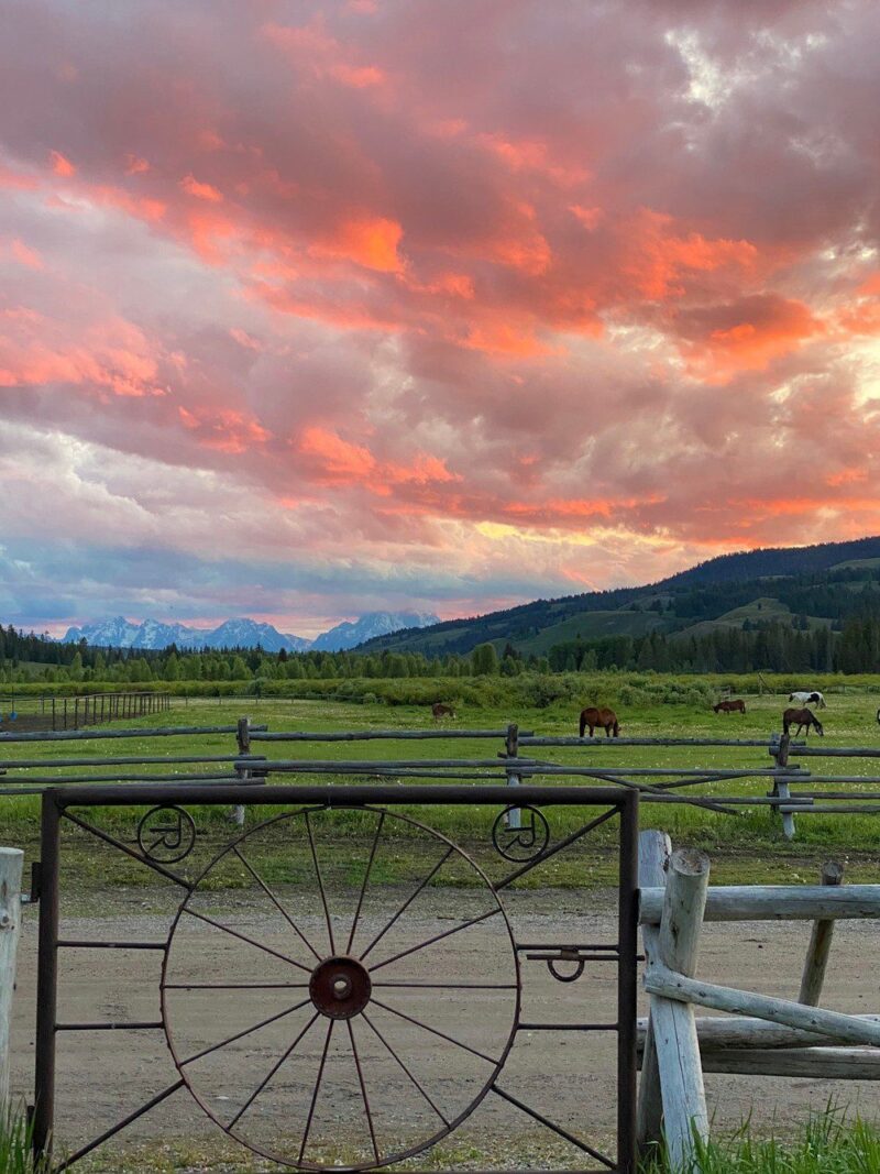Turpin Ranch at sunset with horses in a field.