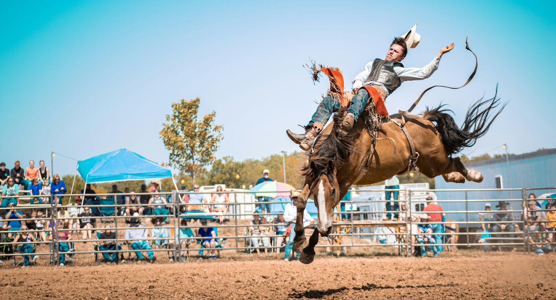 A cowboy at the rodeo on a horse.