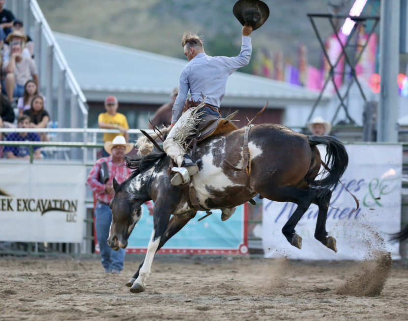 Teton County Fair
